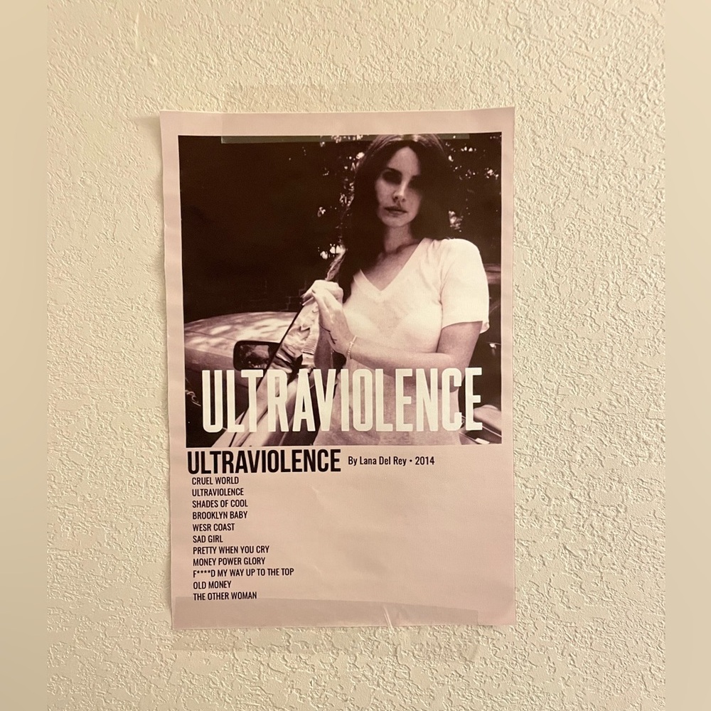 Lana Del Ray Canvas Print - 12 x 17 inches